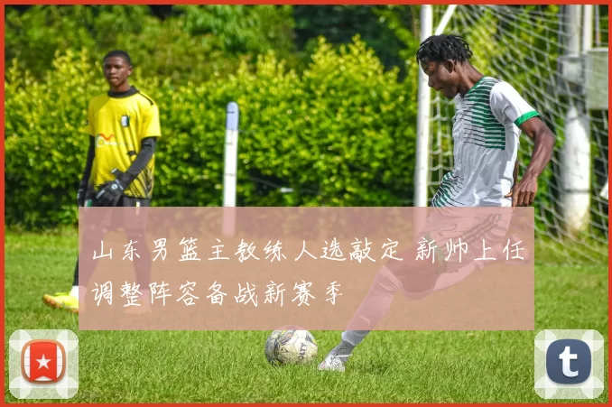 山东男篮主教练人选敲定 新帅上任调整阵容备战新赛季